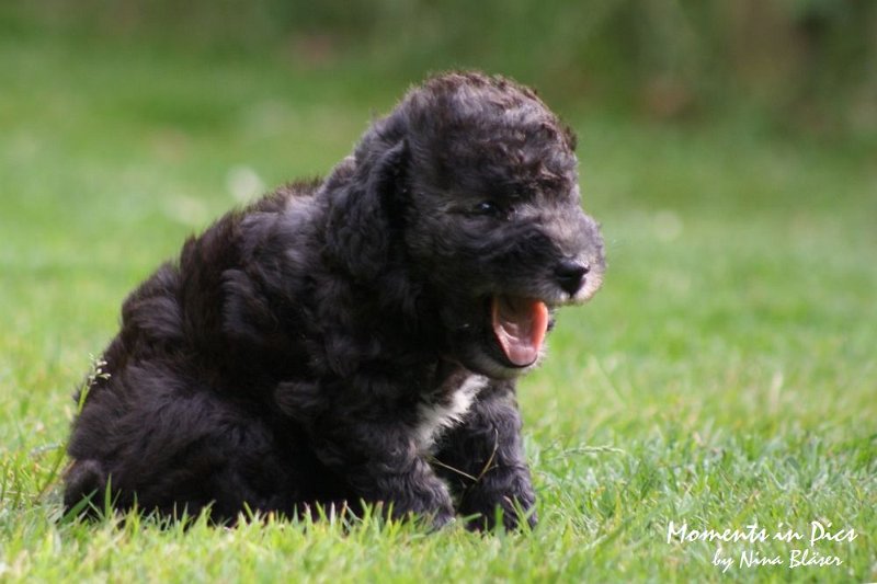 Arc-en-ciel Antares 2009-06-17 (26).JPG